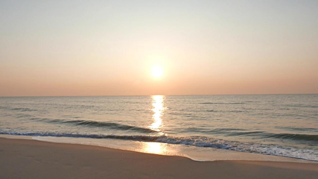 Hung Do Beach Homestay Хоян Екстер'єр фото